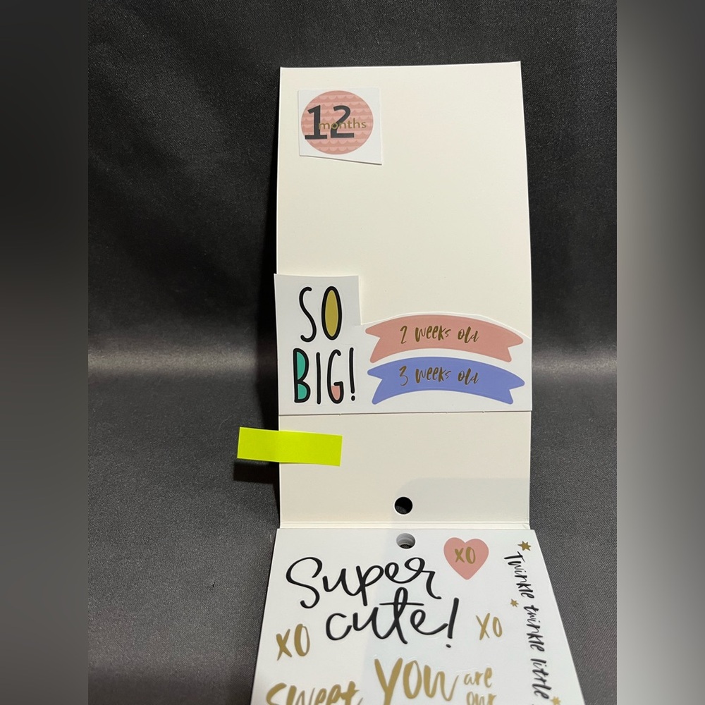 The Happy Planner - Baby Girl Sticker Book - Picture 7 of 8